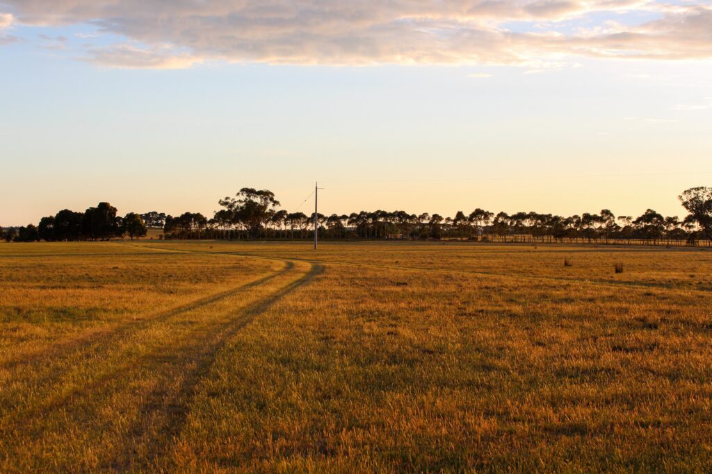 Top 5 Long Range Electric Dirt Bike Models for Trail Riding
