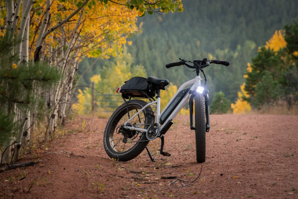 Electric Bike Brands Showdown: Comparing Top Brands And Advanced Features.