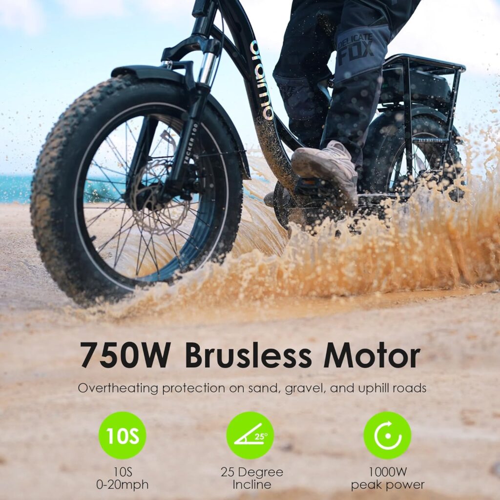 Oraimo Electric Bike for Adults, 750W Motor (Peak 1000W) 20 x 4.0 Fat Tire with Dual Shock Absorber, Max 48V 20.8Ah Dual Removable Battery, Ebike with 4A 3H Fast Charge, Complies to ANSI/CAN/UL2849