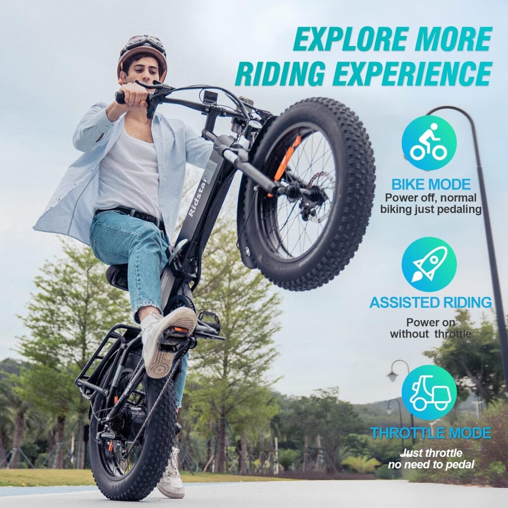 Ridstar Foldable Electric Bike for Adults,1000W 20 Fat Tire Electric Bicycle, 48V 14AH Removable Battery,Dual Suspension Ebike