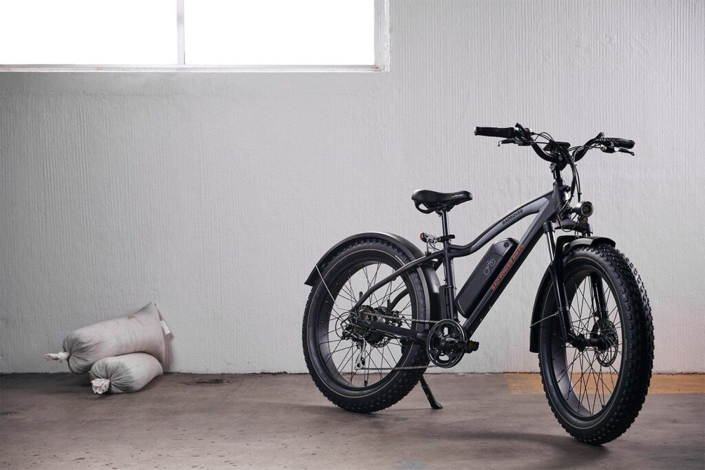 Your Ultimate Guide To Buying A Fat Tire E-bike